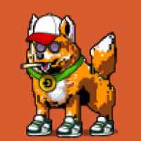 DogePunks #992