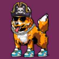 DogePunks #691