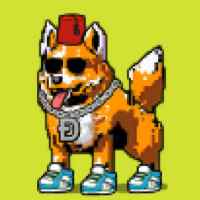 DogePunks #2896