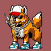 DogePunks #503