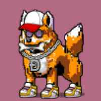 DogePunks #341