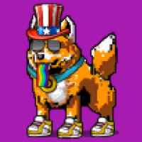 DogePunks #4013