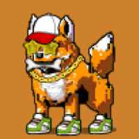 DogePunks #172