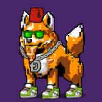 DogePunks #1720