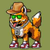 DogePunks #4106