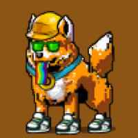 DogePunks #1506