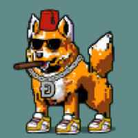 DogePunks #2894