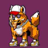 DogePunks #4880