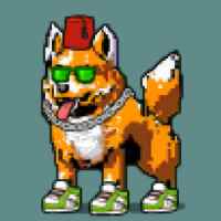 DogePunks #3218