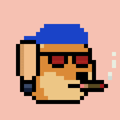 Dogepunk #1667