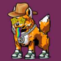 DogePunks #806