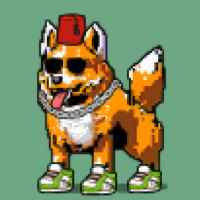 DogePunks #2383