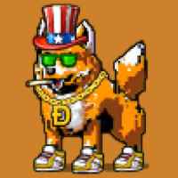 DogePunks #3744