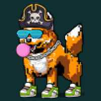 DogePunks #621