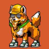 DogePunks #4294