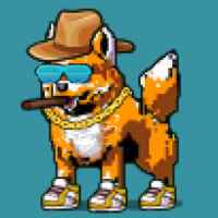 DogePunks #1510