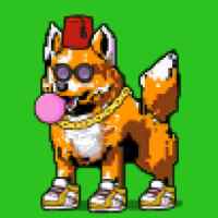 DogePunks #3581