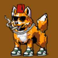 DogePunks #2583