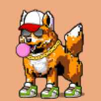 DogePunks #1244