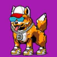 DogePunks #3772