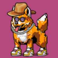 DogePunks #2341
