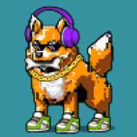 DogePunks #2749