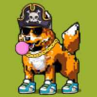 DogePunks #3569