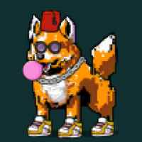 DogePunks #839