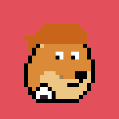 Dogepunk #3541
