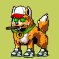 DogePunks #2718