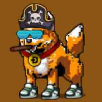 DogePunks #2020