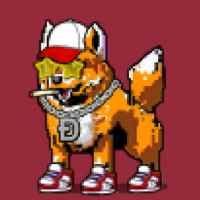 DogePunks #4982