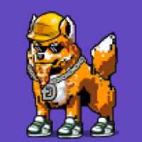 DogePunks #4339