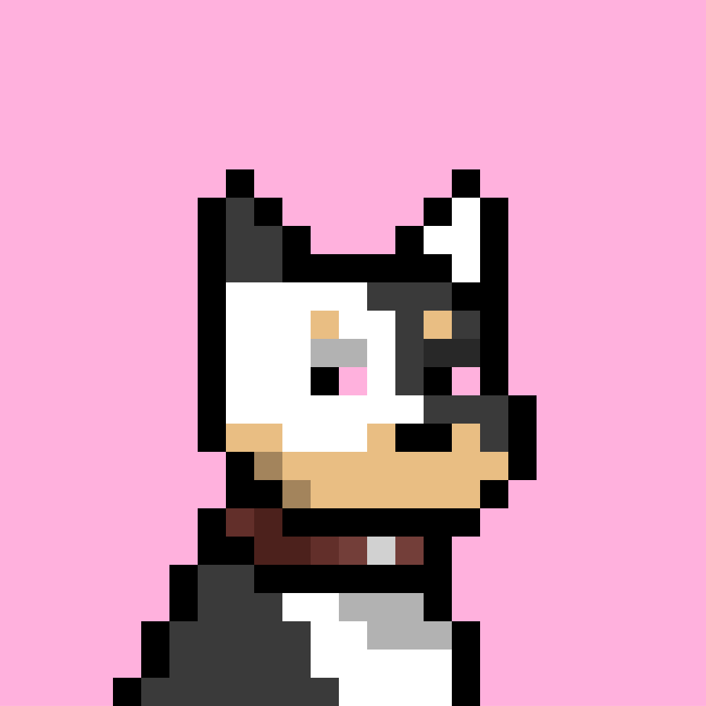 Doginal Dog #4842