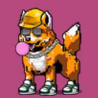 DogePunks #2625