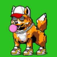 DogePunks #2363