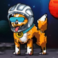 DogePunks #5011