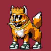 DogePunks #1142