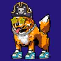 DogePunks #4321