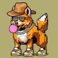 DogePunks #941