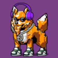 DogePunks #2797