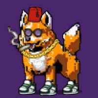 DogePunks #1335