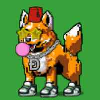 DogePunks #2428