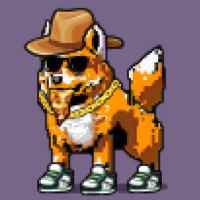 DogePunks #4507