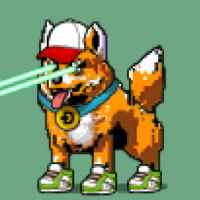 DogePunks #716