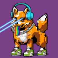 DogePunks #1505