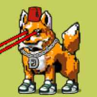 DogePunks #567