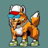DogePunks #1197