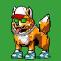 DogePunks #4255