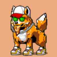 DogePunks #1294